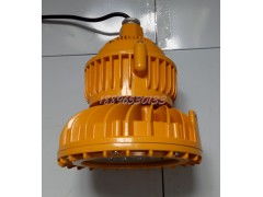 燃?xì)忮仩t房led防爆照明燈, led防爆廠房照明燈