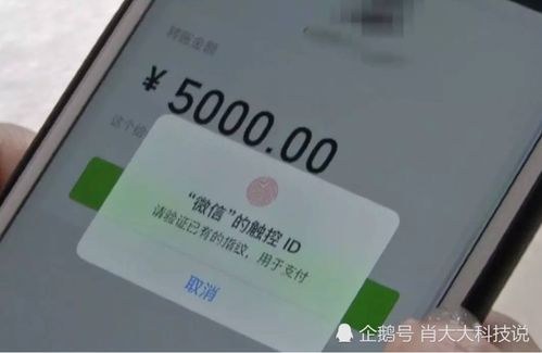 鴻蒙系統(tǒng)的挑戰(zhàn) 為何Teams安裝問題成為用戶關(guān)注的焦點(diǎn)
